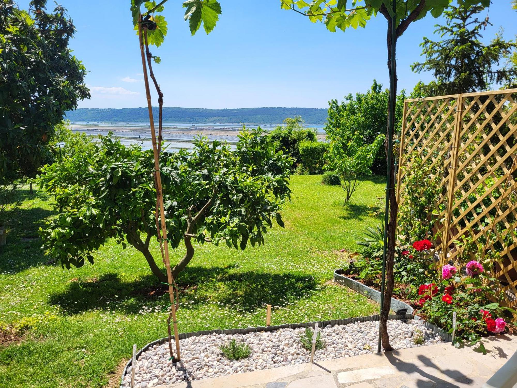 Apartment Salt Pans View Порторож Экстерьер фото