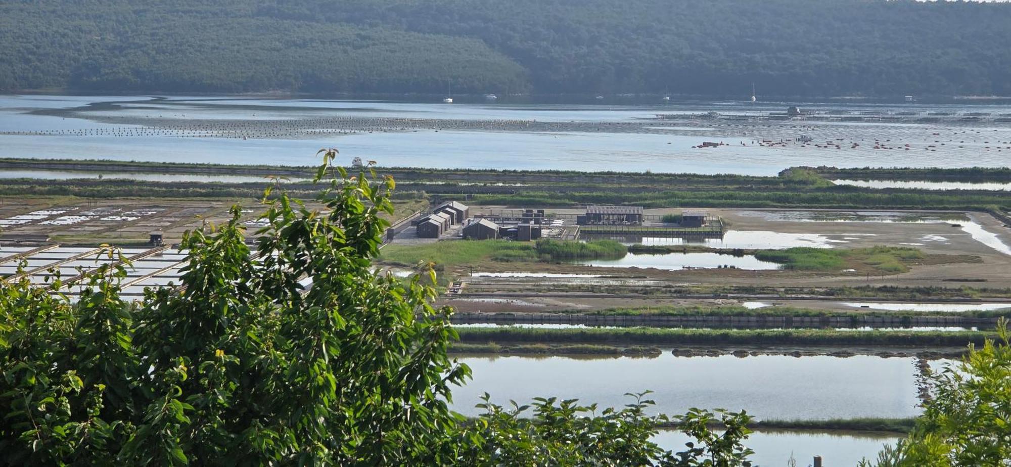 Apartment Salt Pans View Порторож Экстерьер фото